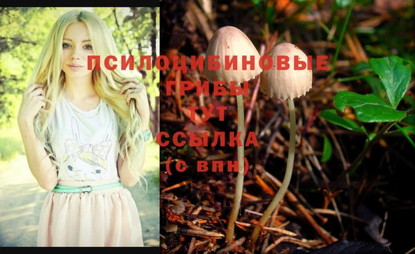 дурь Елабуга