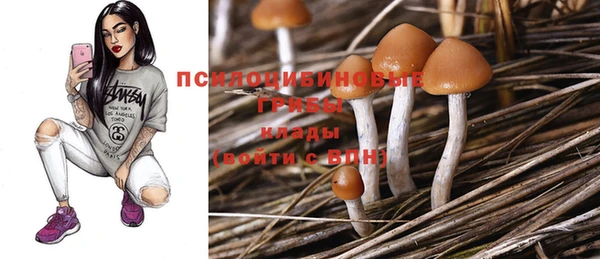 герыч Ельня