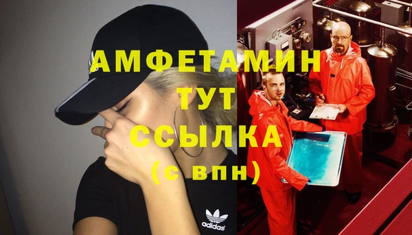 дмт Елизово